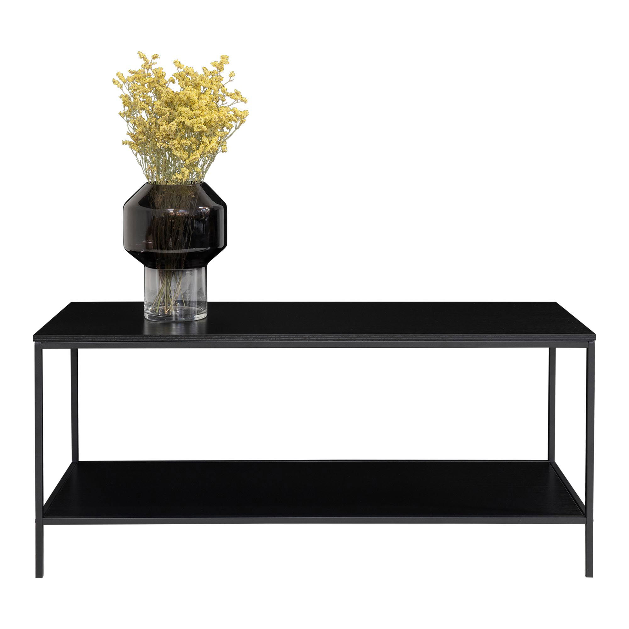 Stolik pod telewizor VITA z półką 100x36x45 cm - czarny - 2501030
