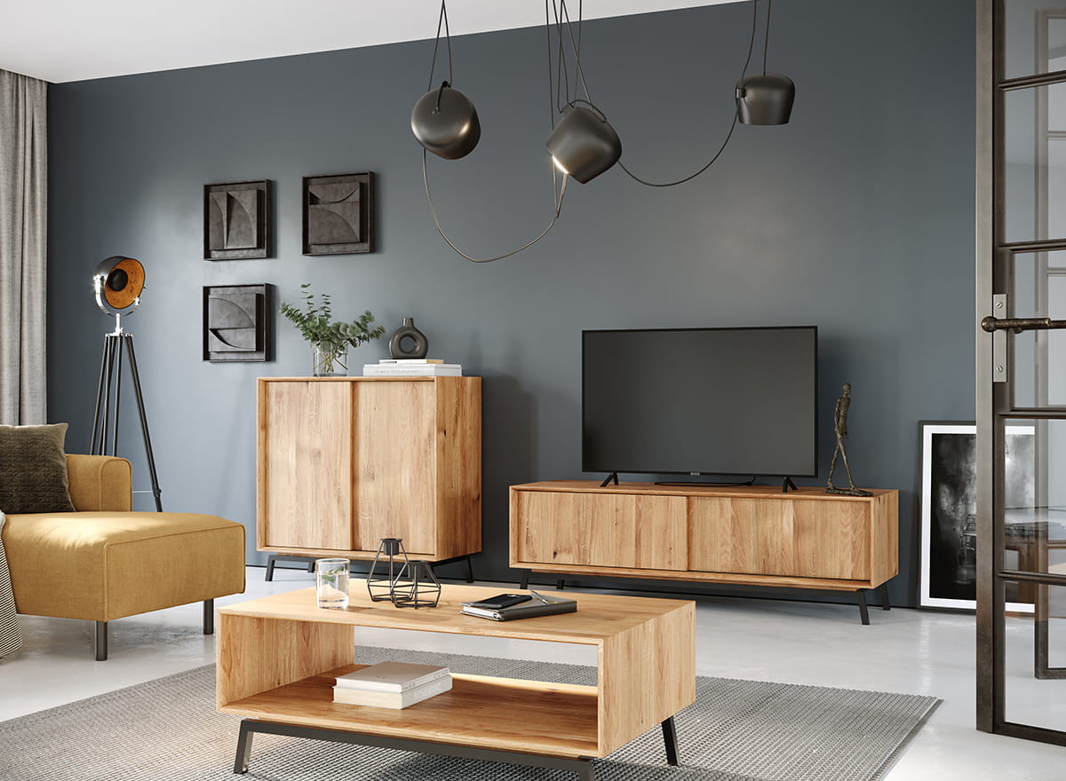 Szafka RTV MODERN LOFT 2-drzwiowa 200x50x52 cm - dąb olejowany - PLMOL07D