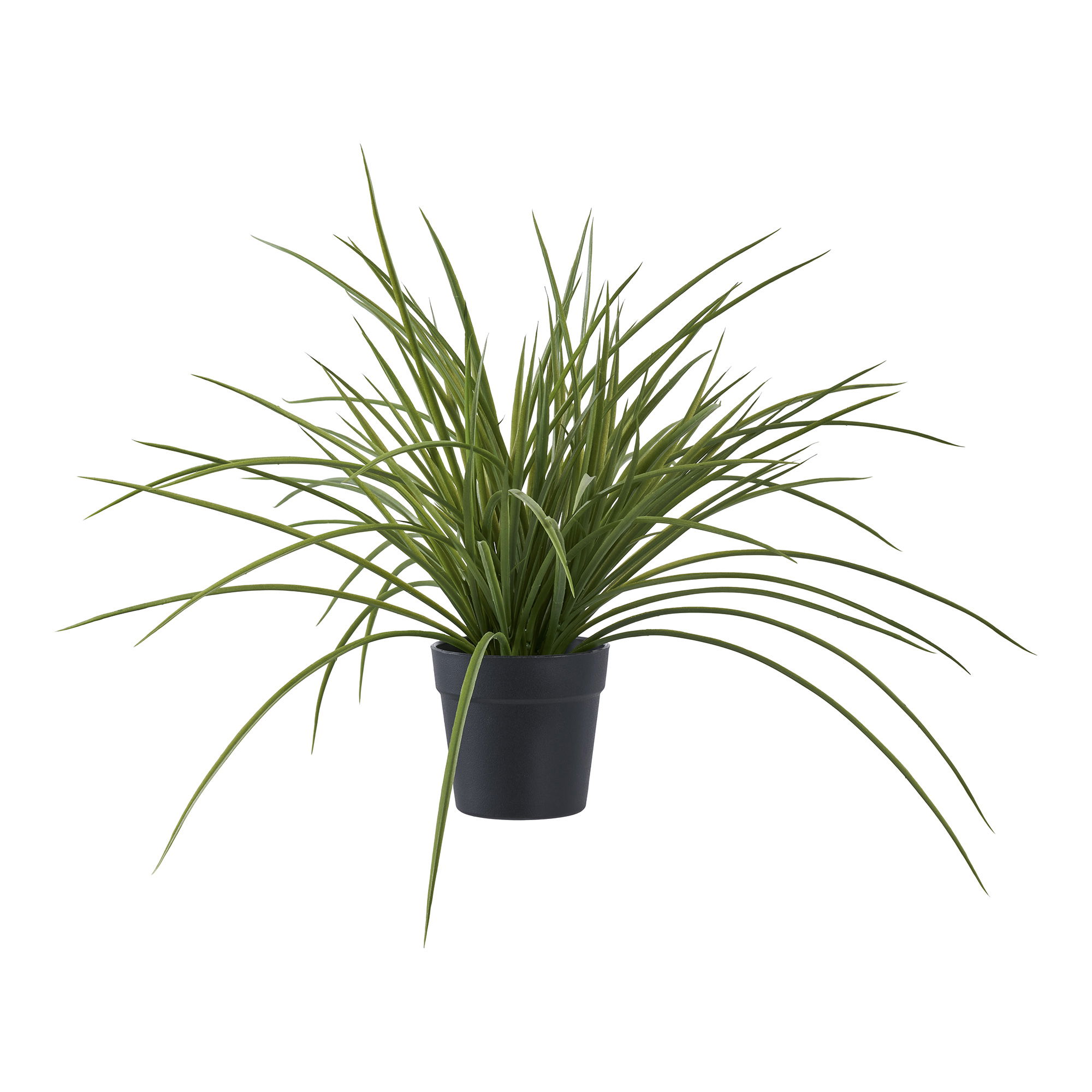 Roślina, Roślina doniczkowa, plantator, Ceramika, Drzewo palmowe