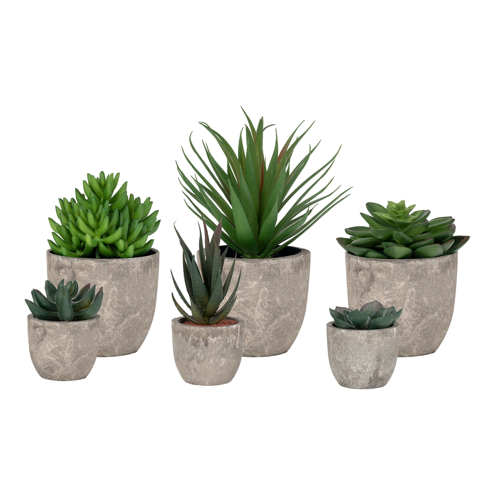 Roślina, Roślina doniczkowa, plantator, Wazon, Aloes